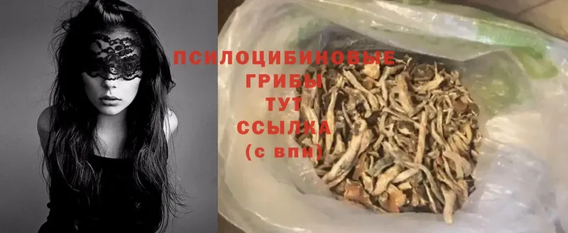 где найти наркотики  omg как войти  Галлюциногенные грибы Psilocybe  Красноуфимск 